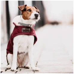 KENTUCKY Dogwear Hundemäntel<Hundeante Origina