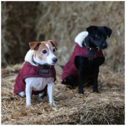 KENTUCKY Dogwear Hundemäntel<Hundeante Origina