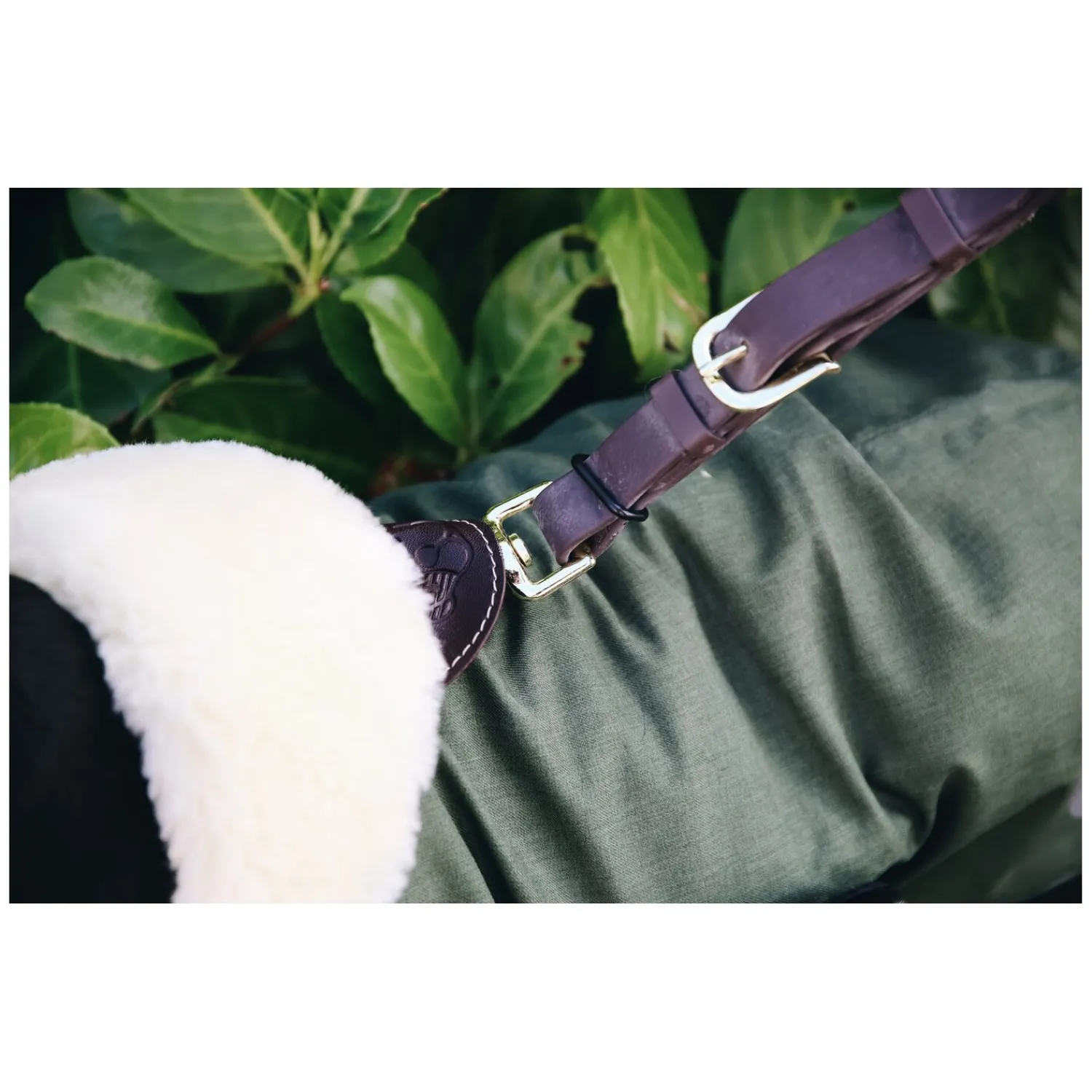 KENTUCKY Dogwear Hundemäntel<Hundeante Waerdicht
