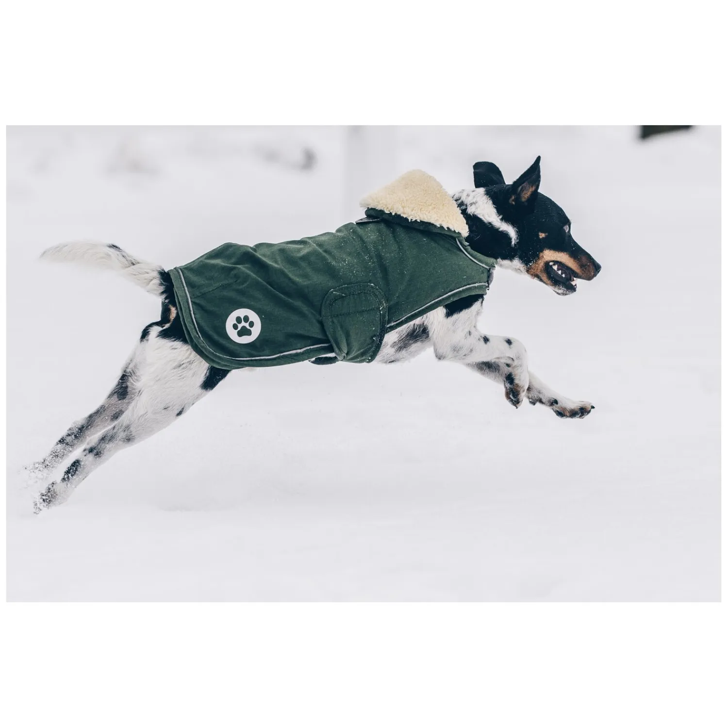 KENTUCKY Dogwear Hundemäntel<Hundeante Waerdicht