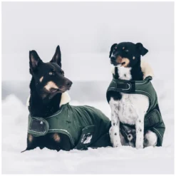 KENTUCKY Dogwear Hundemäntel<Hundeante Waerdicht
