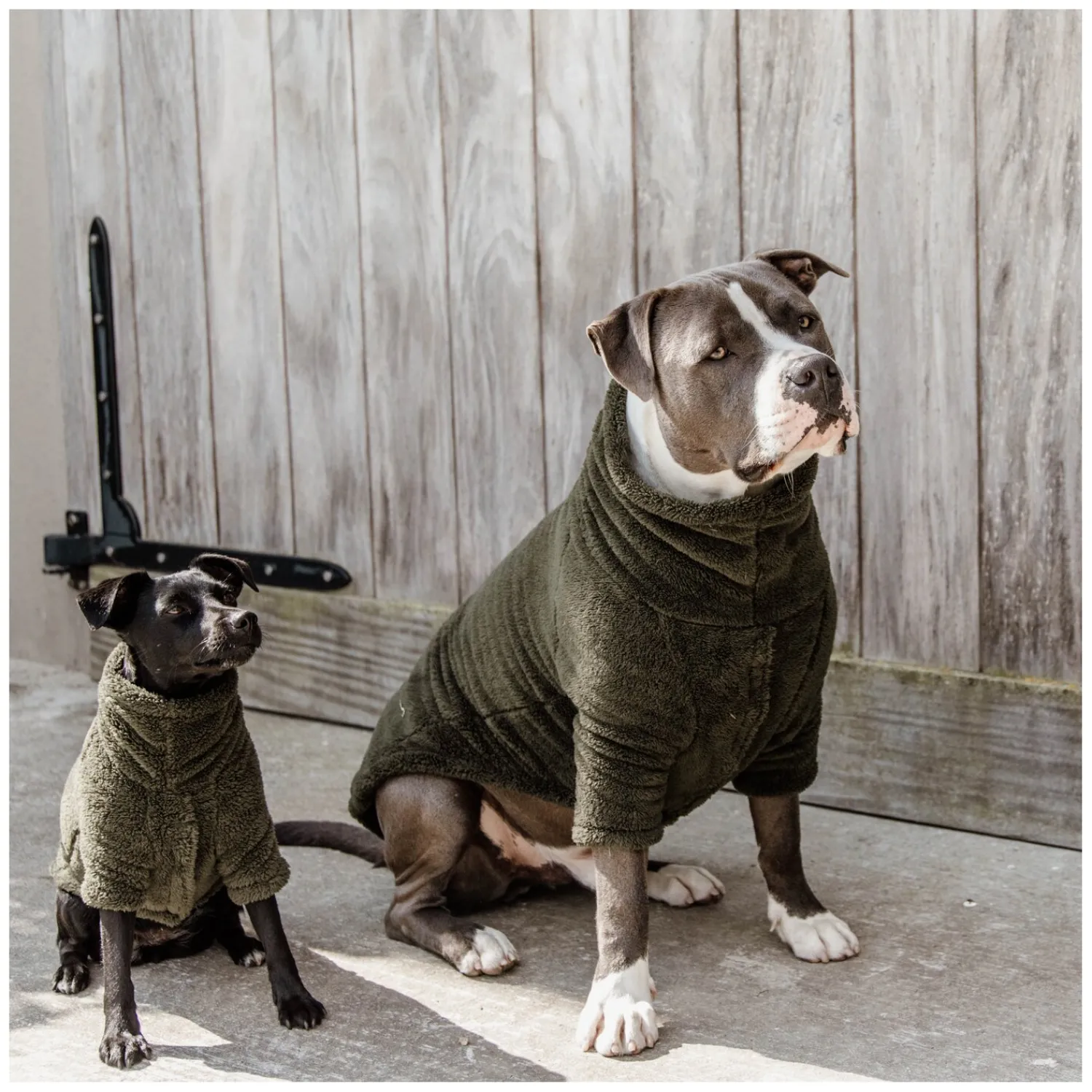 KENTUCKY Dogwear Hundemäntel<Hundepullover Teddy Fleece