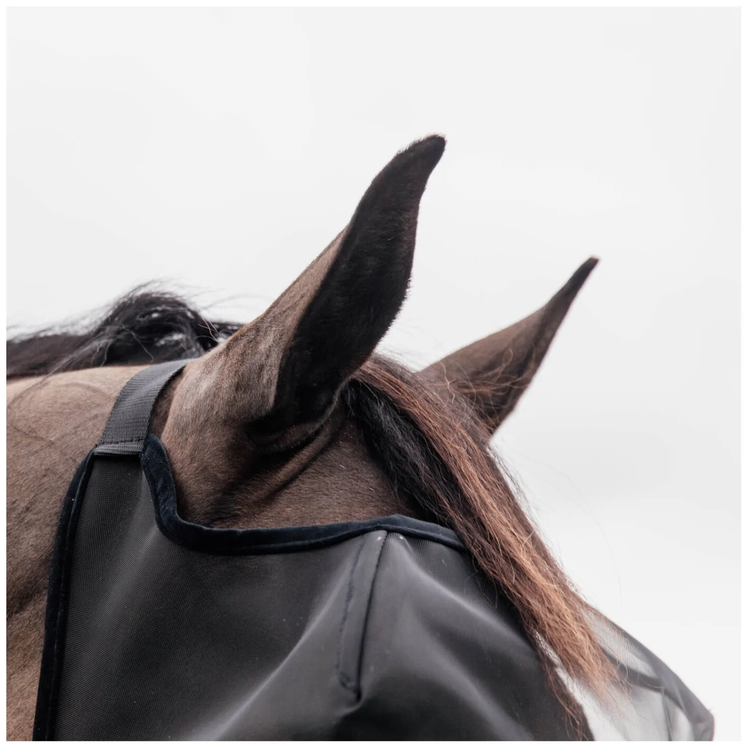 KENTUCKY Fliegenmasken<Fliegenmaske Classic ohne Ohren