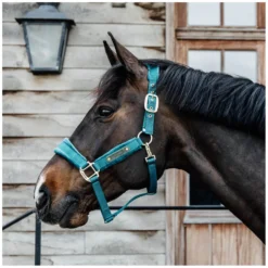KENTUCKY Halfter<Halfter Velvet
