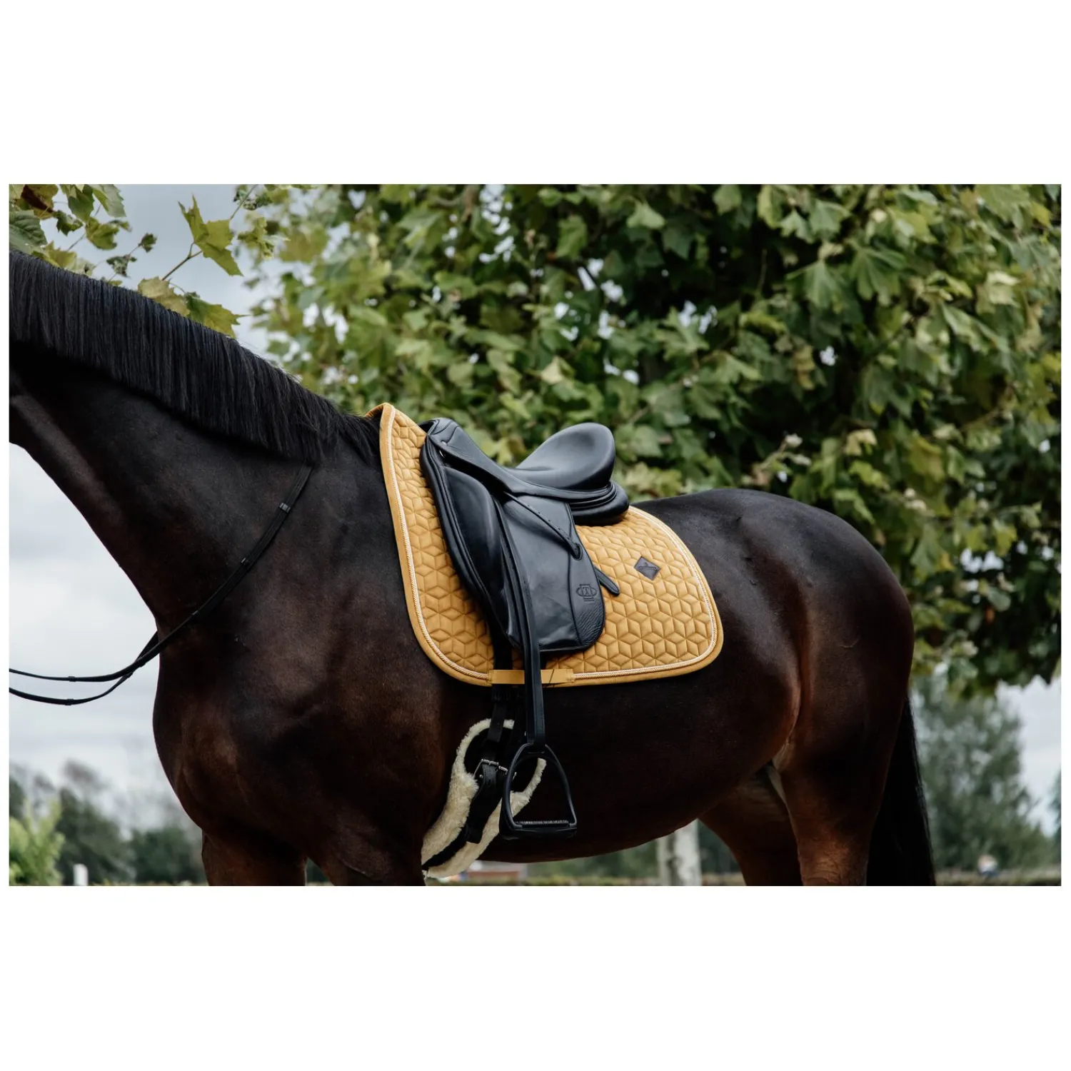 KENTUCKY Sättel & Zubehör|Geschenke Für Reiter<Schabracke Samt
