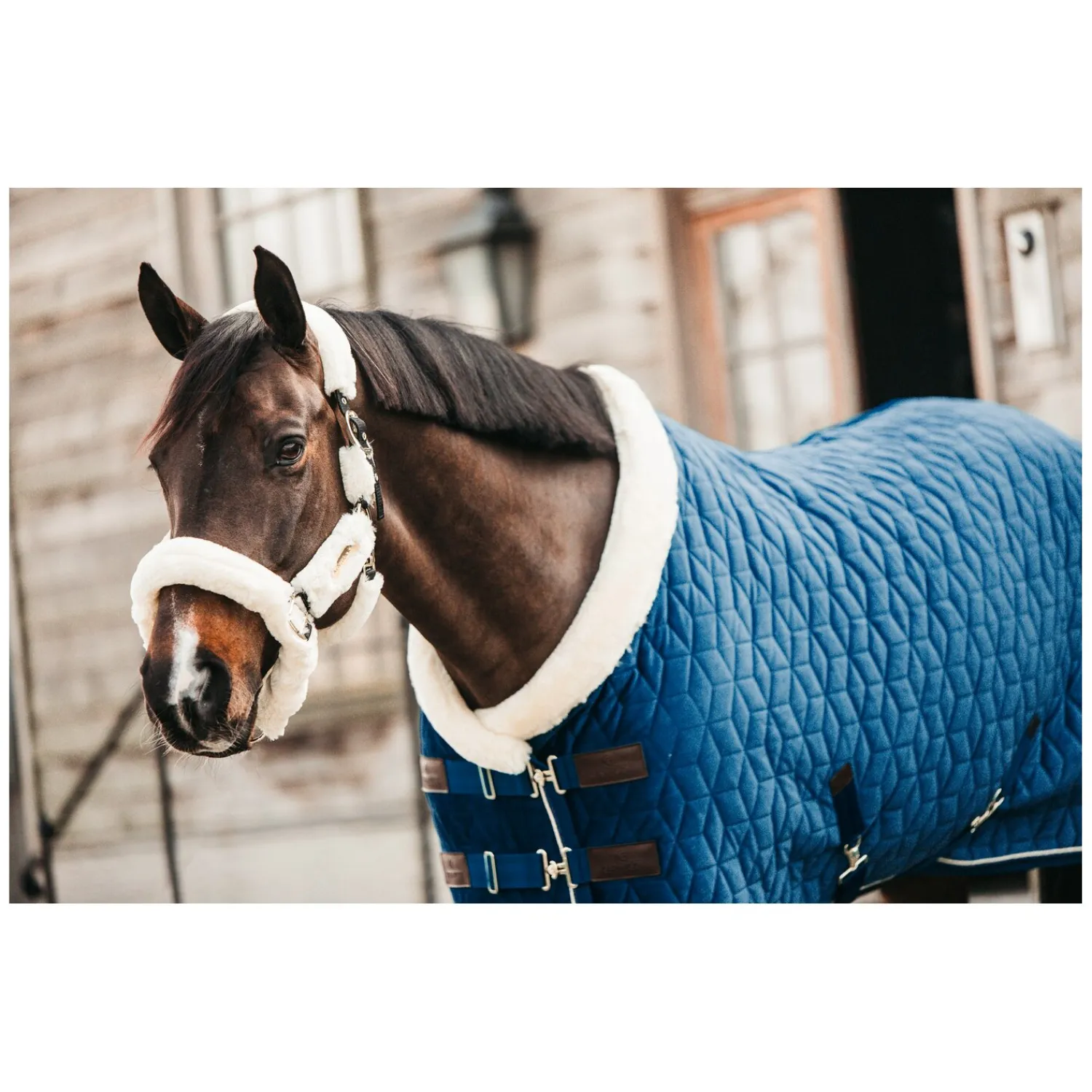 KENTUCKY Pferdedecken<Show Rug Velvet