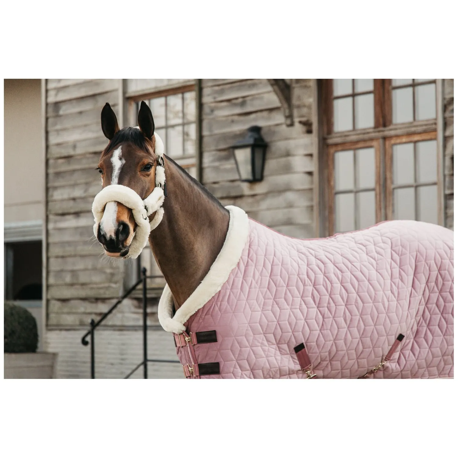 KENTUCKY Pferdedecken<Show Rug Velvet