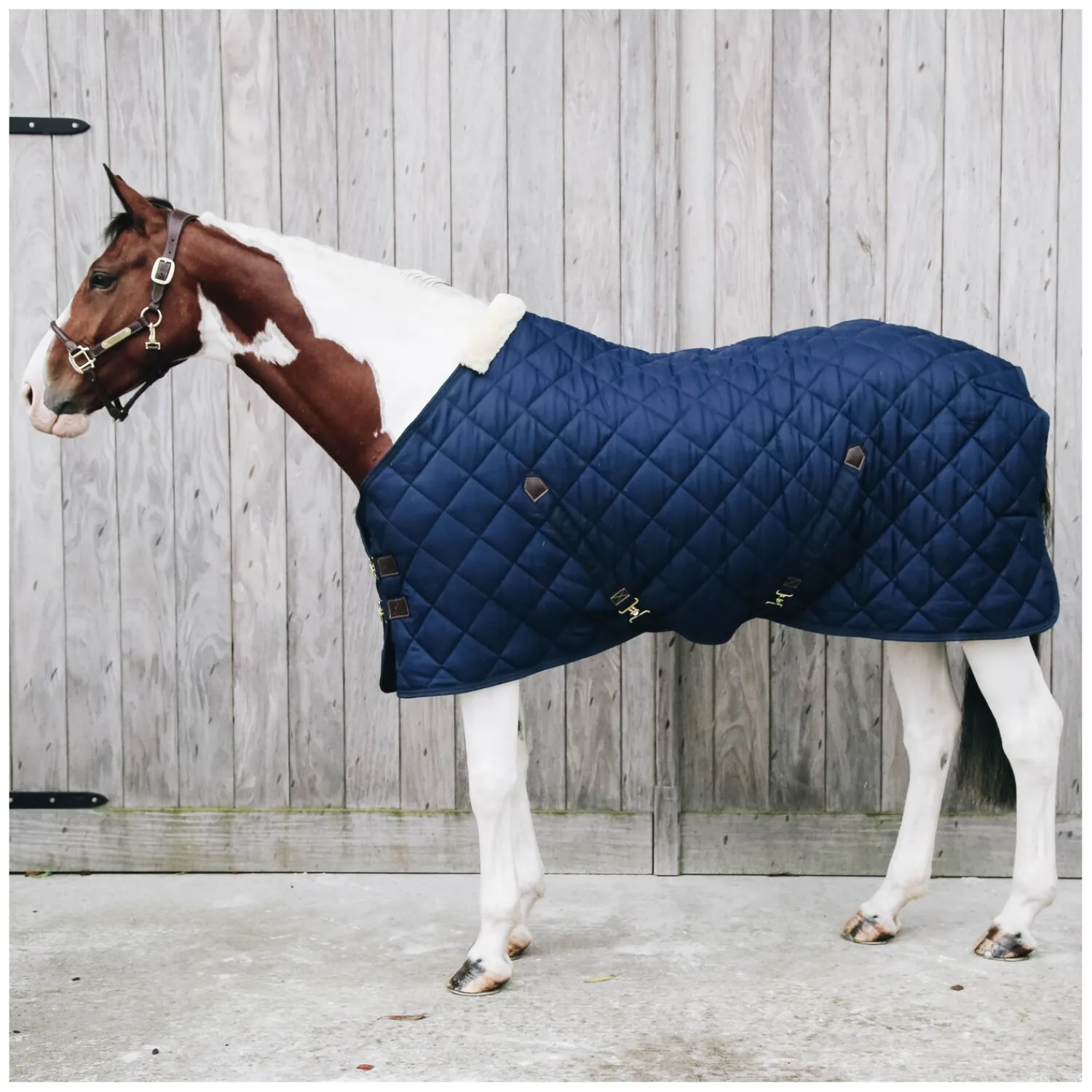 KENTUCKY Pferdedecken<Stalldecke