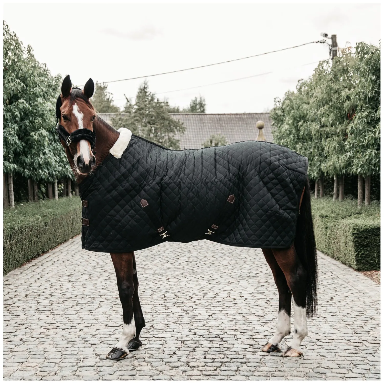 Loesdau Pferdedecken<KENTUCKY Stalldecke 400 g
