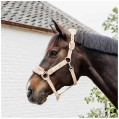 KENTUCKY Halfter<Teddyfleece-Halfter