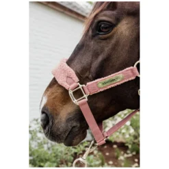 KENTUCKY Halfter<Teddyfleece-Halfter