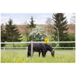 Loesdau Fliegenfallen<KERBL cit Fliegenfalle FlyCage6