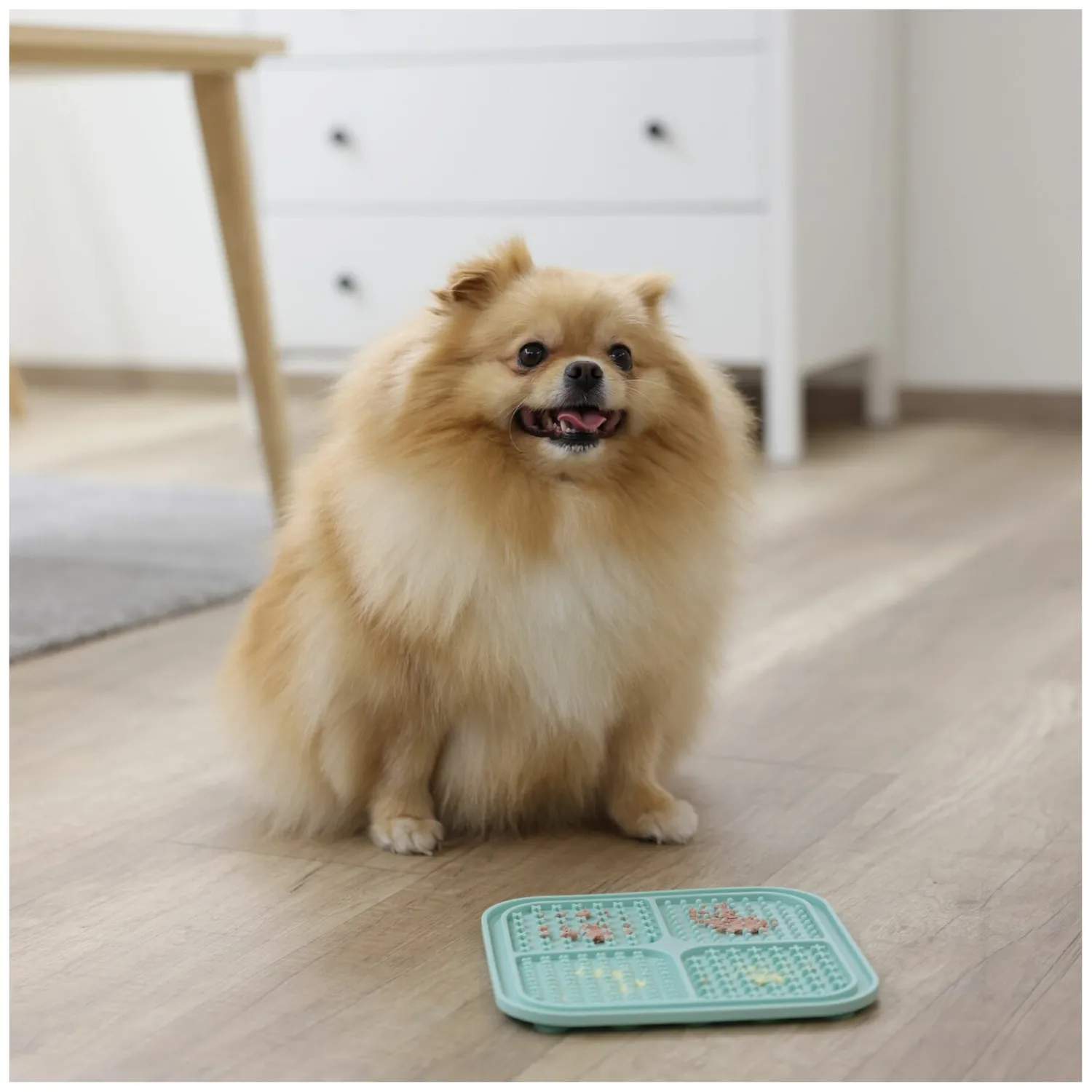 Loesdau Hundespielzeug|Futternäpfe<KERBL Schleckmatte