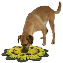Loesdau Hundespielzeug<KERBL Schnüffelteppich Sunflower