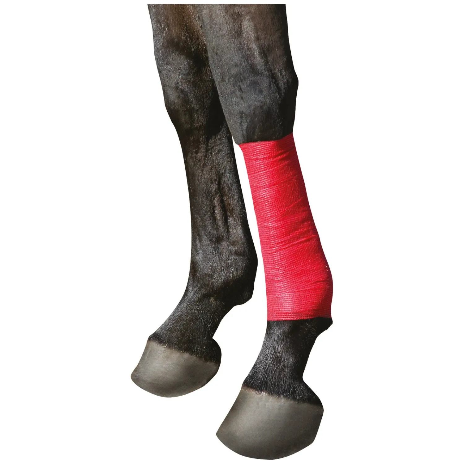 KERBL Stallapotheke<Selbsthaftende Bandage EquiLastic