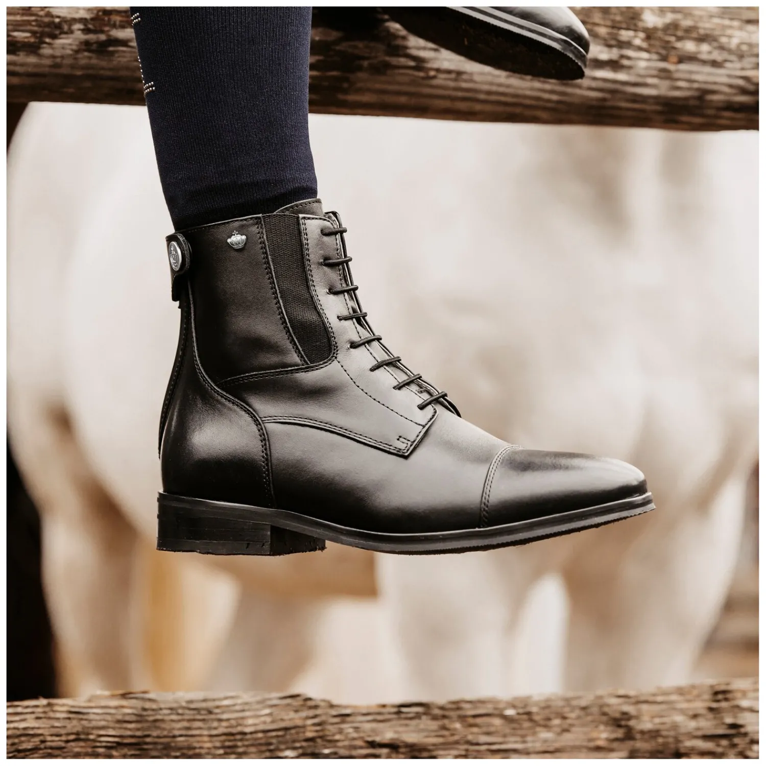 Königs Reitstiefeletten<Stiefelette Genf