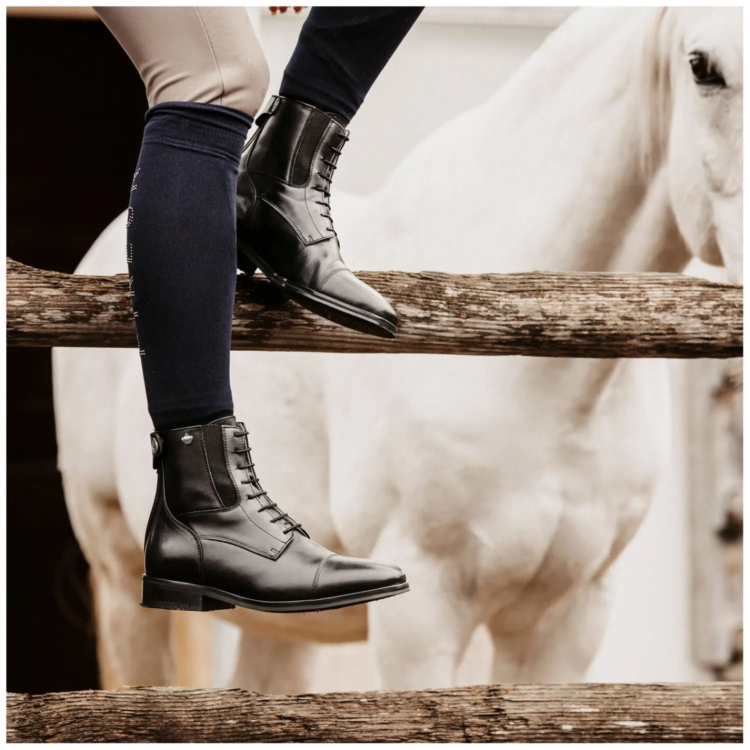 Königs Reitstiefeletten<Stiefelette Genf