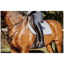 Königs Reitstiefeletten<Stiefelette Linz