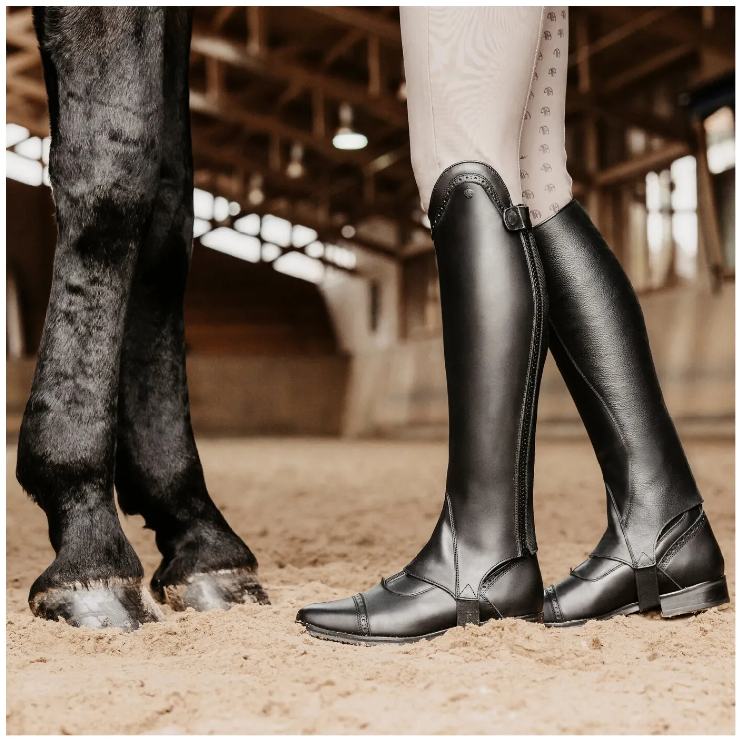 Königs Reitstiefeletten<Stiefelette Premium Preston