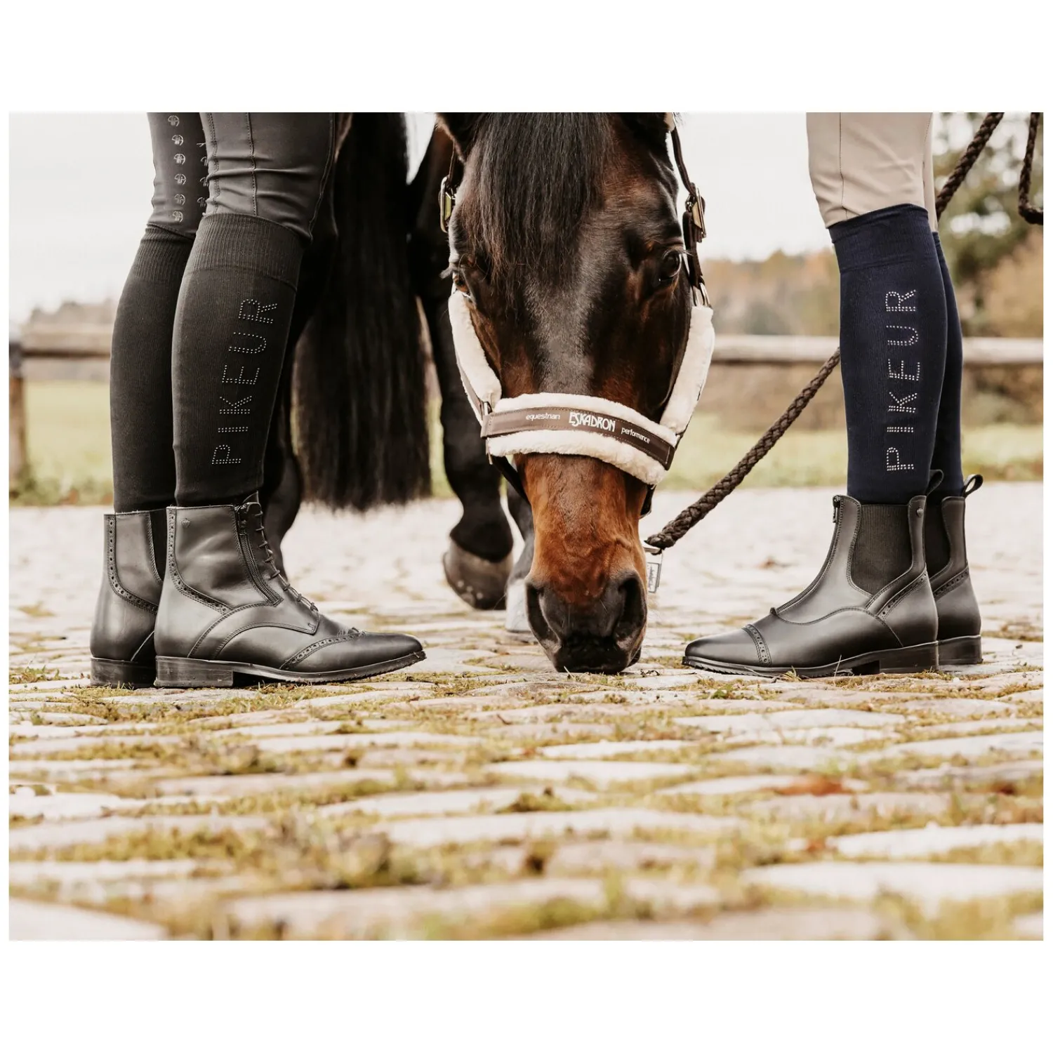 Königs Reitstiefeletten<Stiefelette Premium Verona