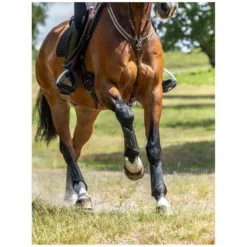 LeMieux Gamaschen<Gaaschen Isafe XC Boot Front, für Vorderbeine