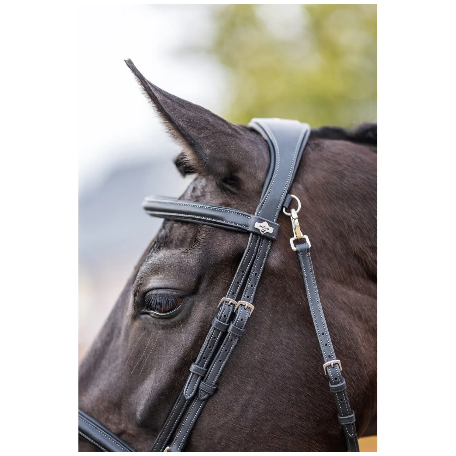 LeMieux Trensen<Trense Kudos Work Bridle