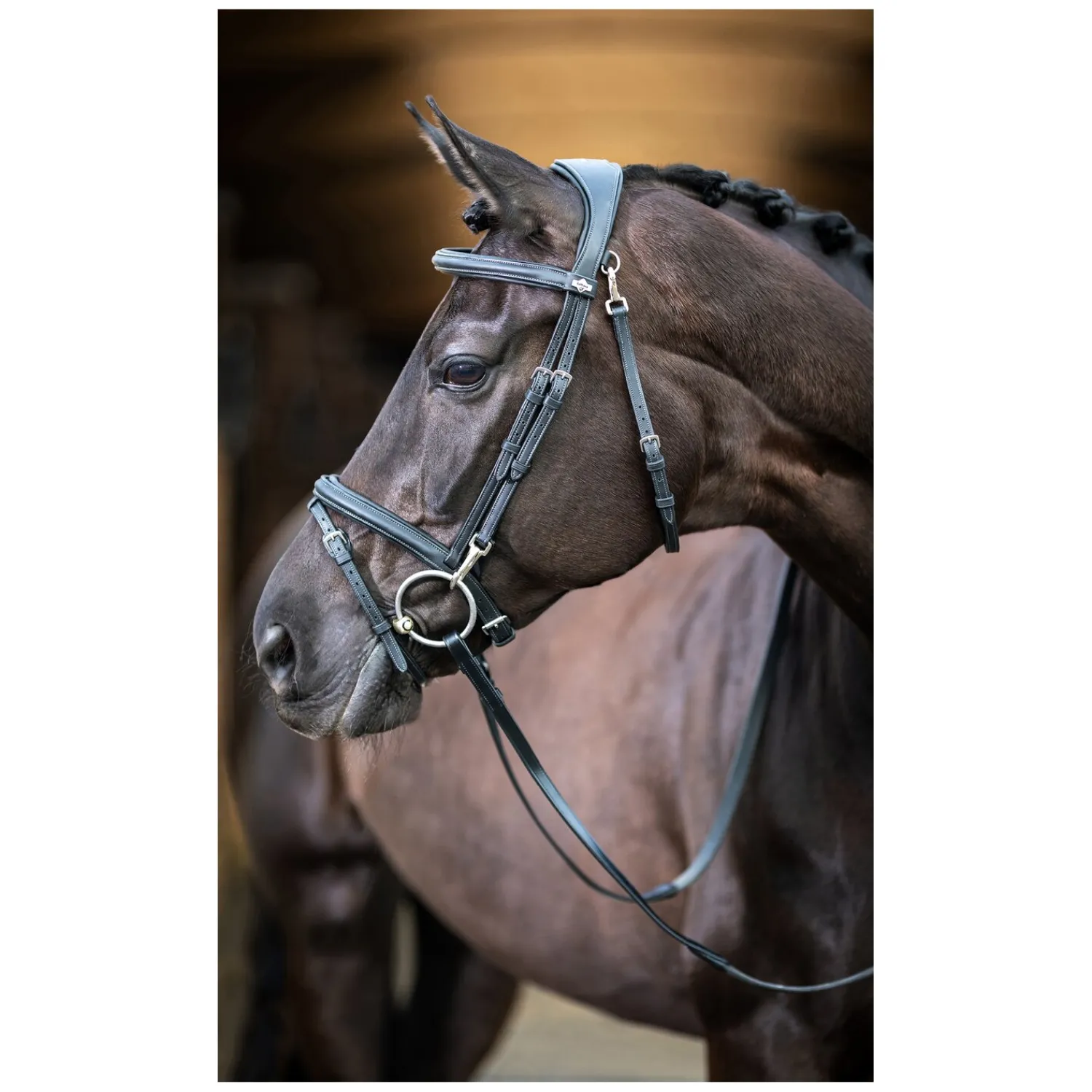 LeMieux Trensen<Trense Kudos Work Bridle