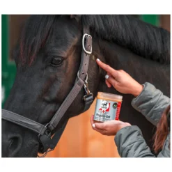 Loesdau Stallapotheke<leovet Erste-Hilfe Propolis Gel