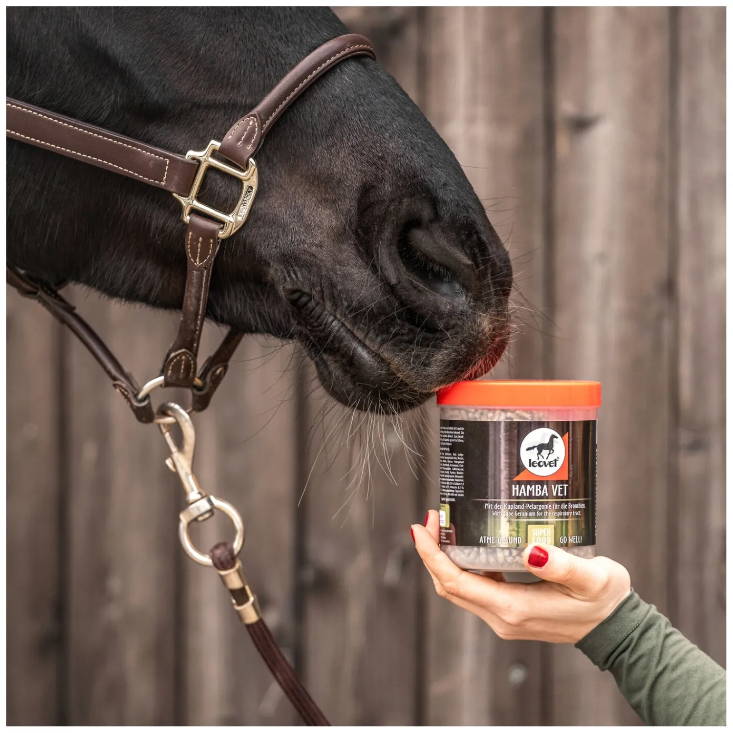 Loesdau Zusatz- Und Mineralfutter<leovet Hamba-Vet