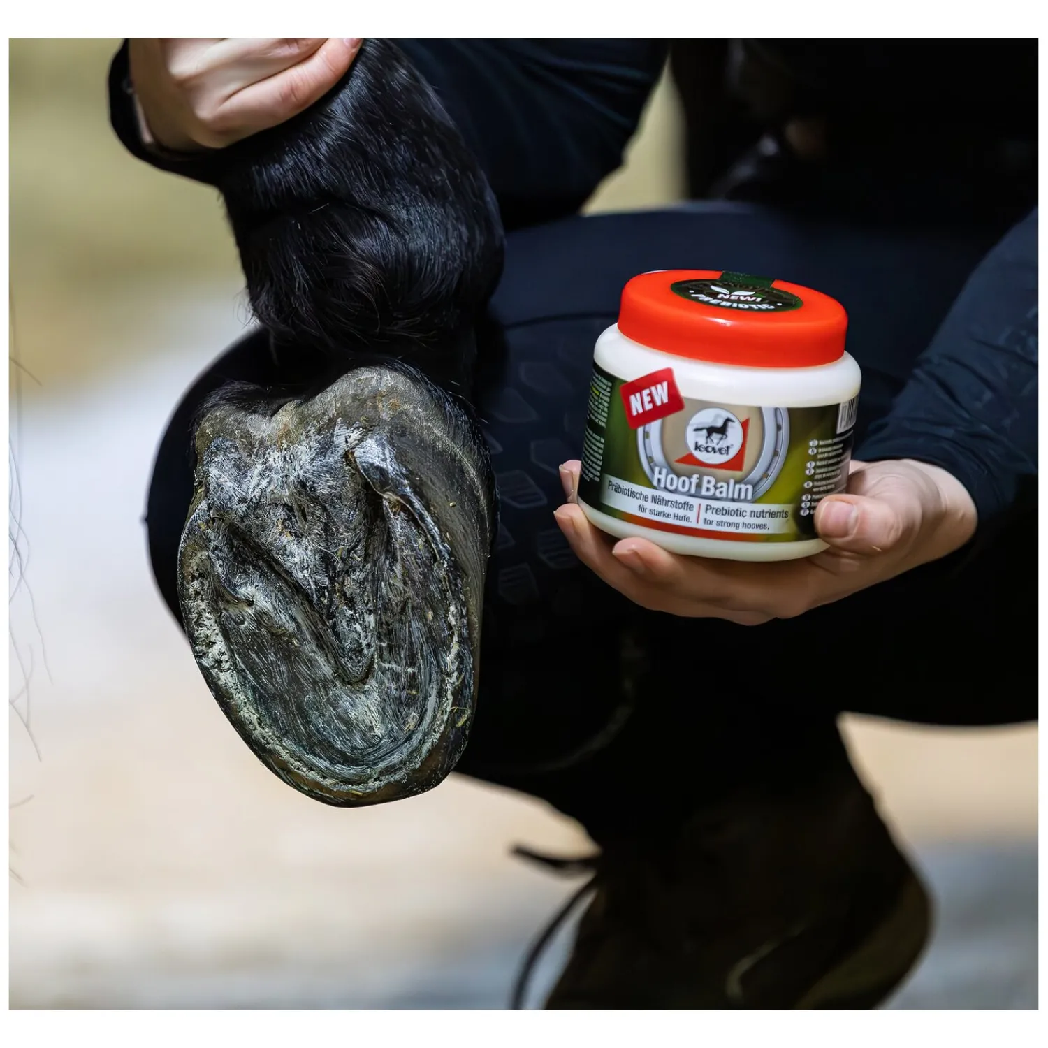 Loesdau Pferdepflege<leovet Hoof Balm
