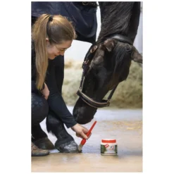 Loesdau Pferdepflege<leovet Hoof Balm