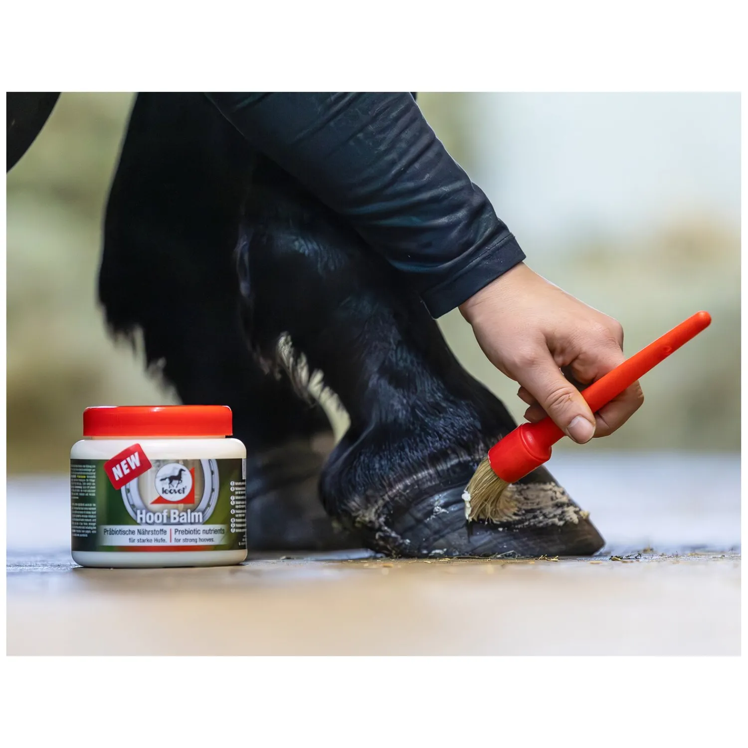 Loesdau Pferdepflege<leovet Hoof Balm