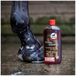 Loesdau Pferdepflege<leovet Power Shampoo mit Walnuss