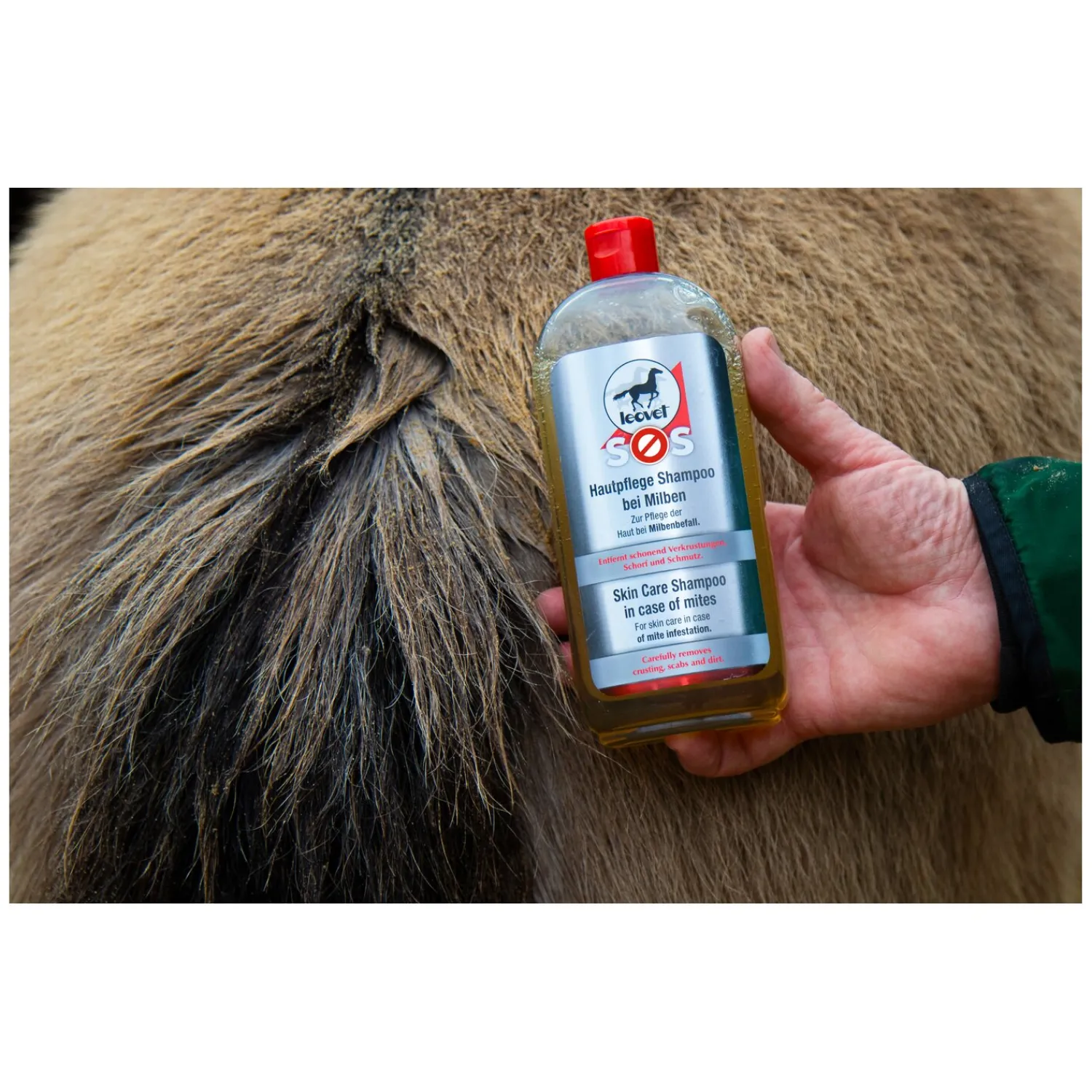 Loesdau Pferdepflege<leovet SOS Shampoo bei Milben