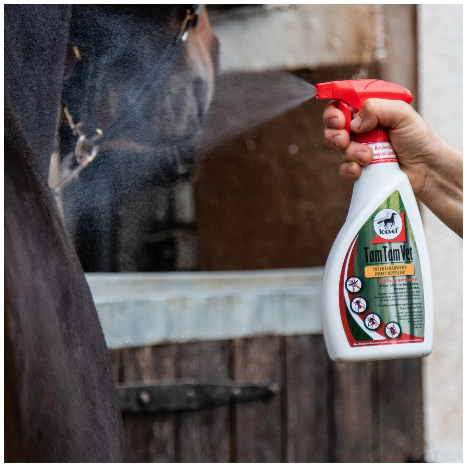 Loesdau Fliegensprays<leovet TamTamVet