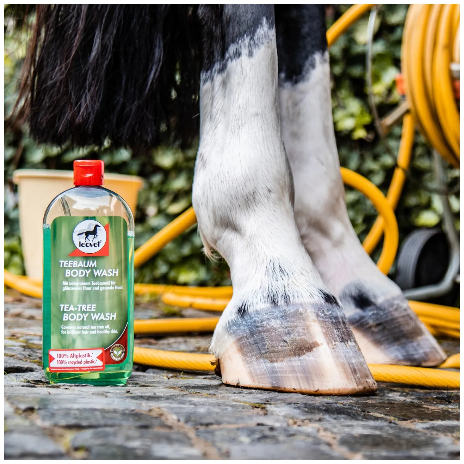 Loesdau Pferdepflege<leovet Teebaum body wash