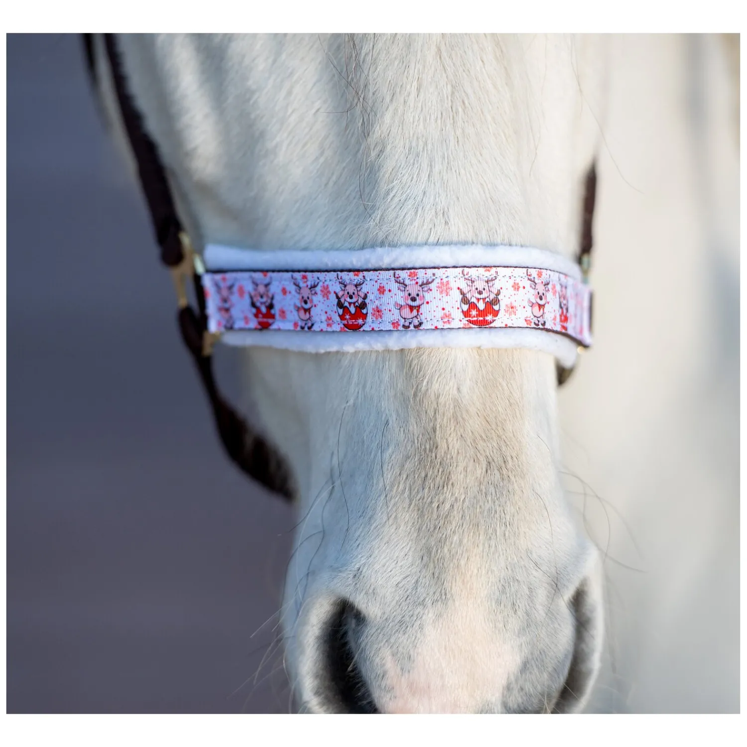 Loesdau Geschenke Für Reiter|Halfter<Halfter Happy X-Mas