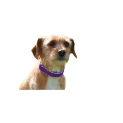 Loesdau Hundehalsbänder<Hundehalsband Soft