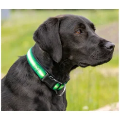 Loesdau Hundehalsbänder<Hundehalsband Stripe