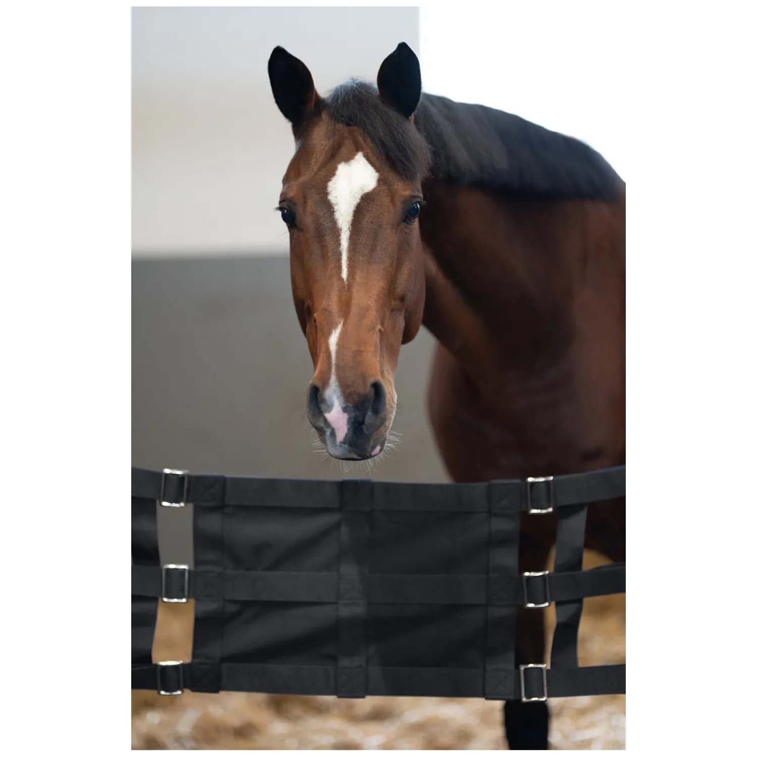 Loesdau Weiteres Stallzubehör<Stallguard