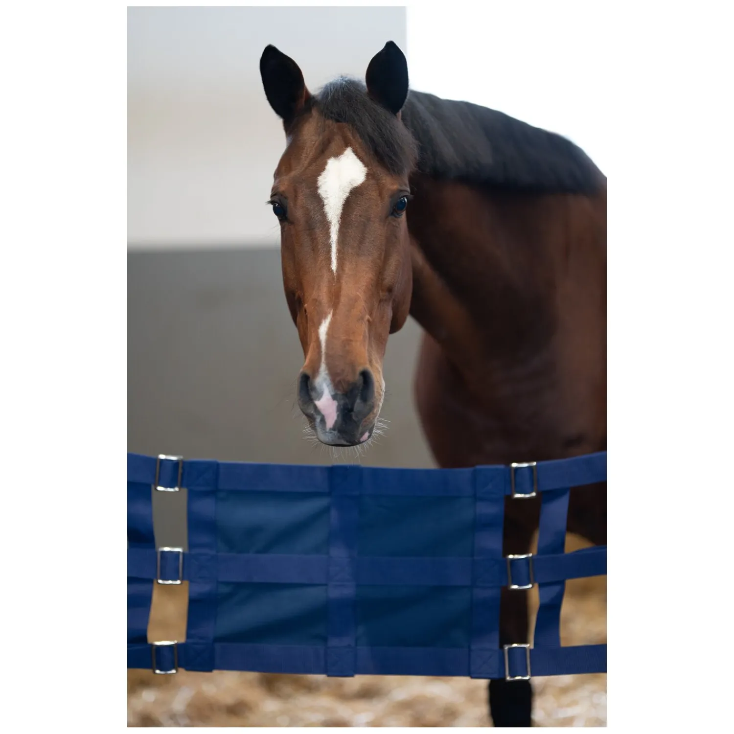 Loesdau Weiteres Stallzubehör<Stallguard