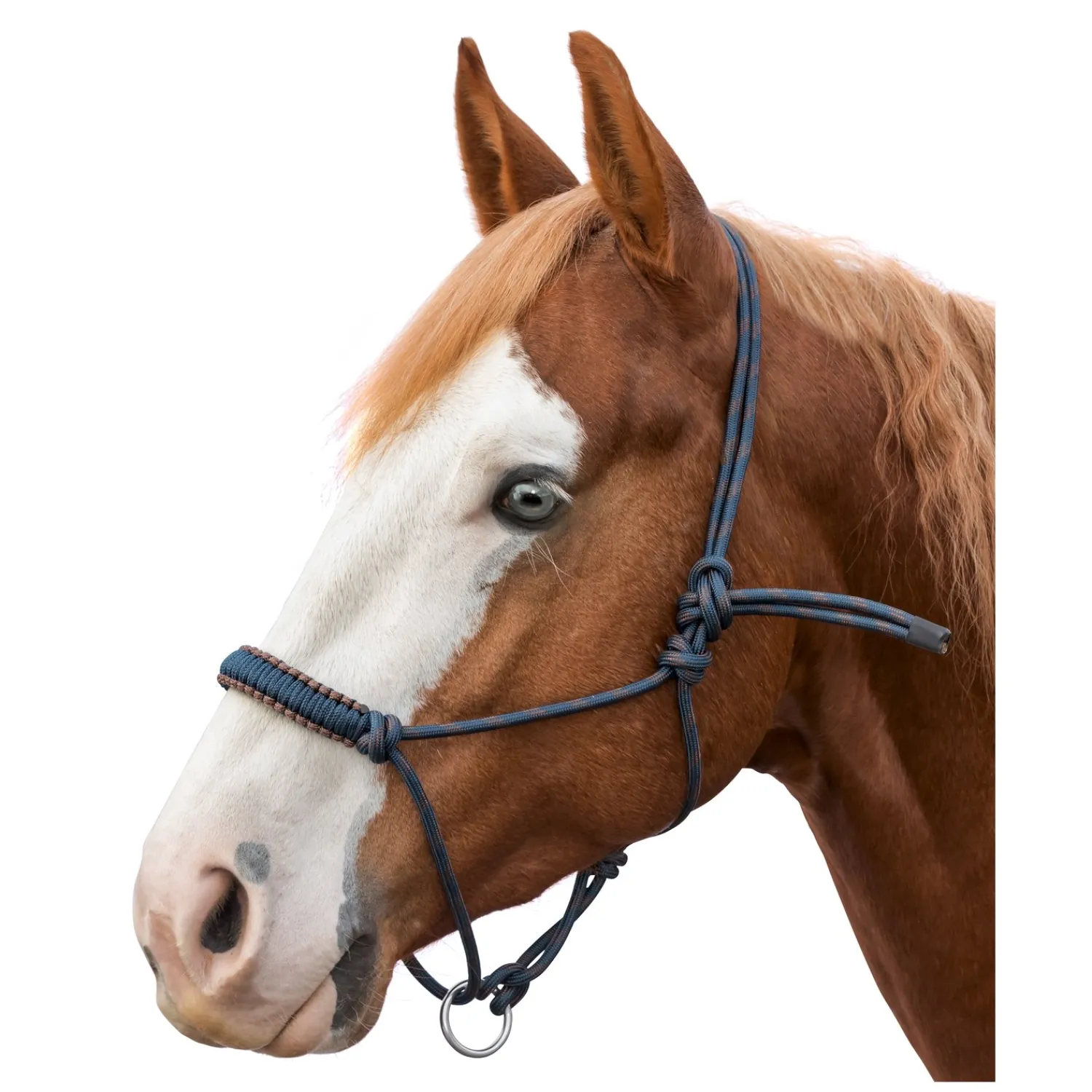 L-pro West Knotenhalfter<Knotenhalfter Bicolor