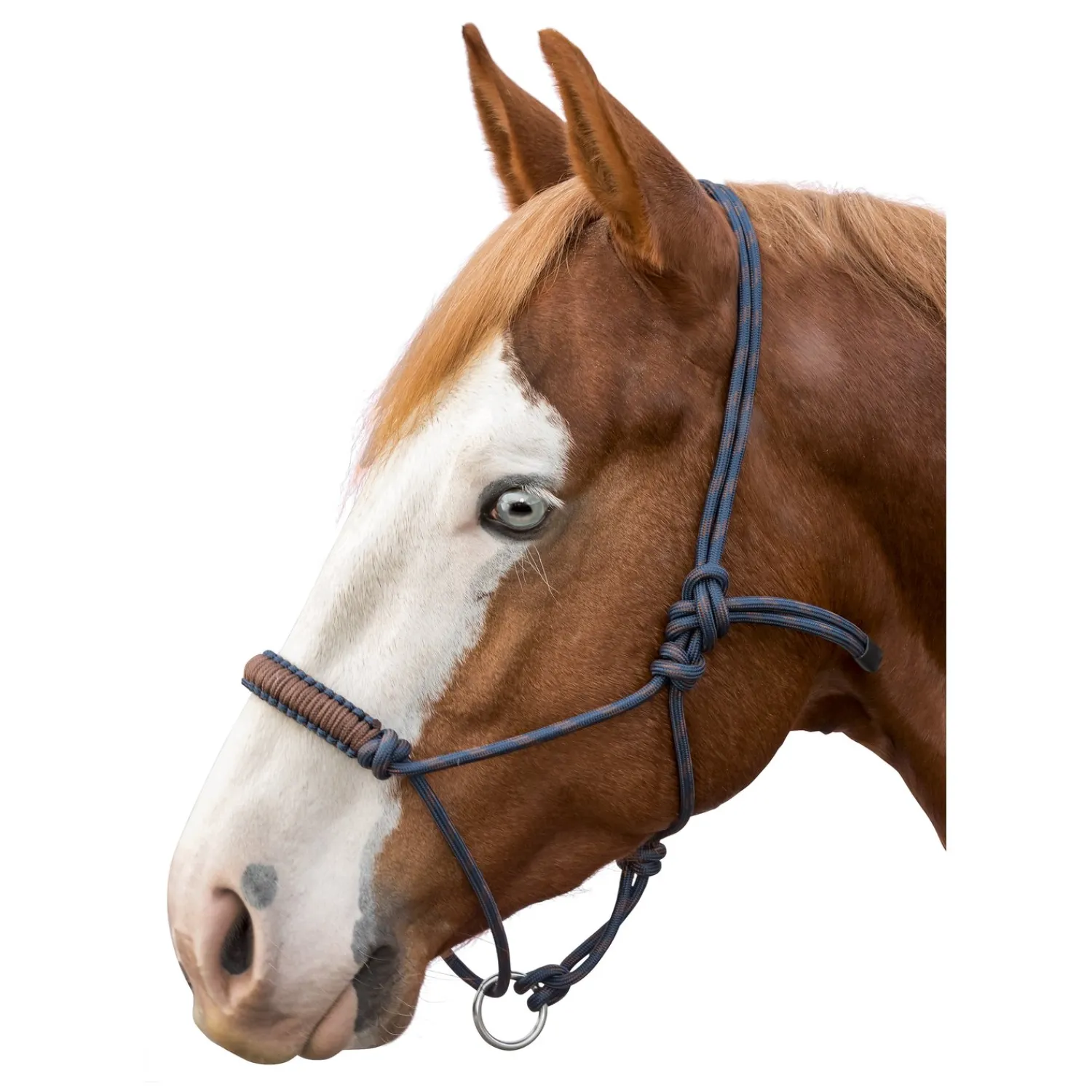 L-pro West Knotenhalfter<Knotenhalfter Bicolor