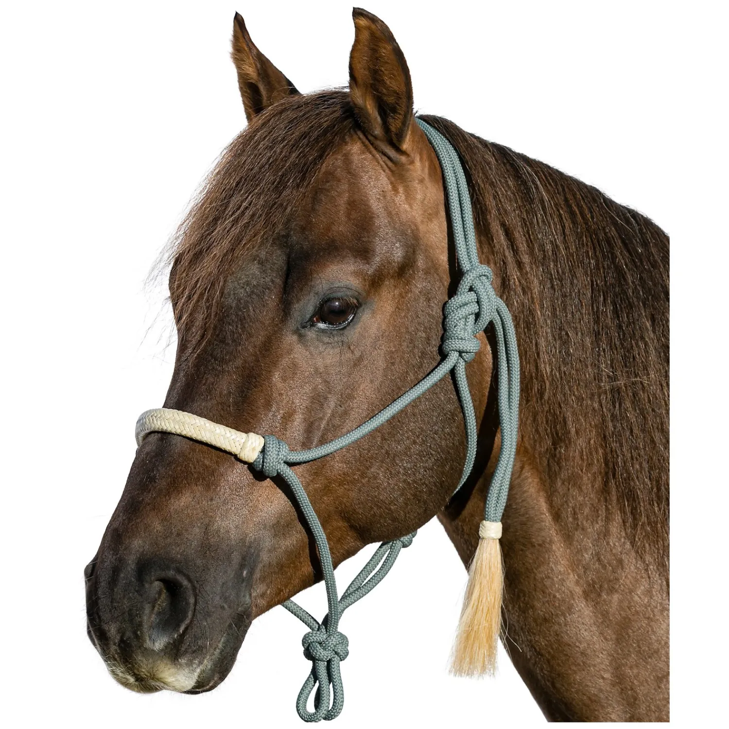L-pro West Knotenhalfter<Knotenhalfter mit Rohhaut