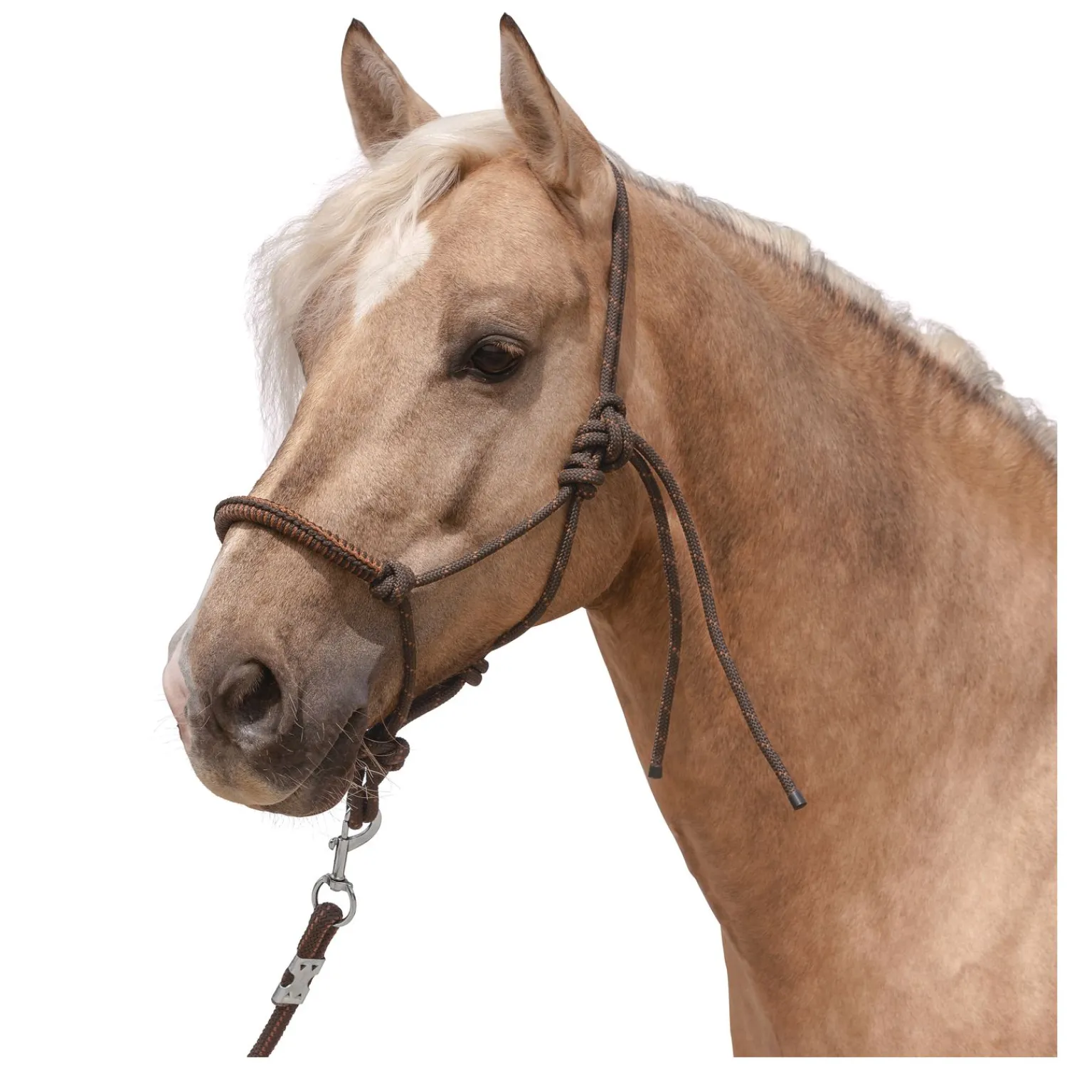 L-pro West Knotenhalfter<Knotenhalfter mit Seil