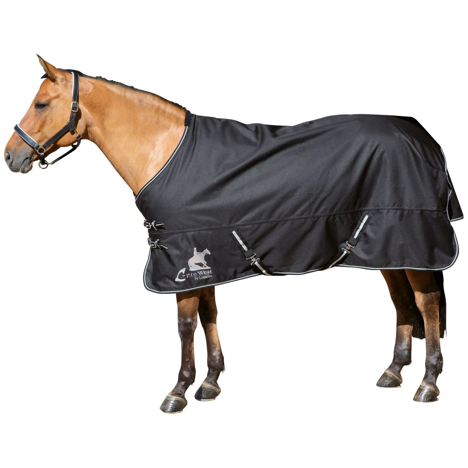 L-pro West Pferdedecken<Paddock- und Outdoordecke