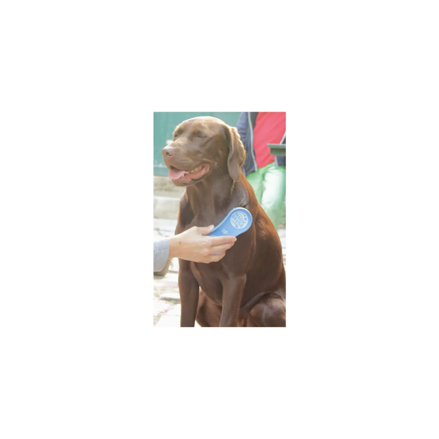 Loesdau Hundebürsten<MagicBrush Bürste Dog