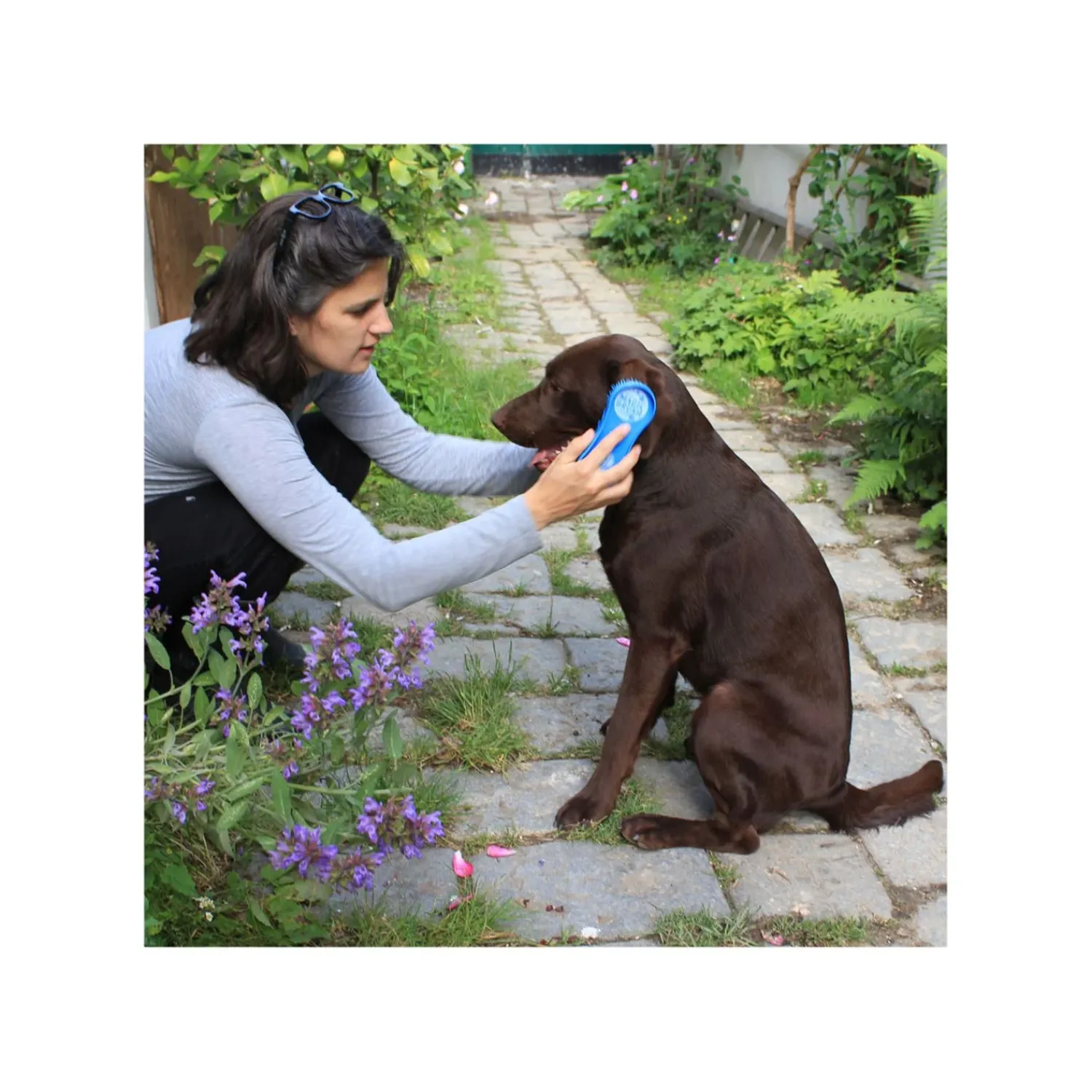 Loesdau Hundebürsten<MagicBrush Bürste Dog