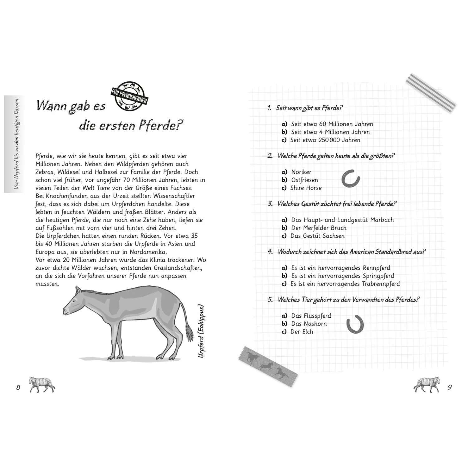Loesdau Bücher & Multimedia<Mein Pferdequiz