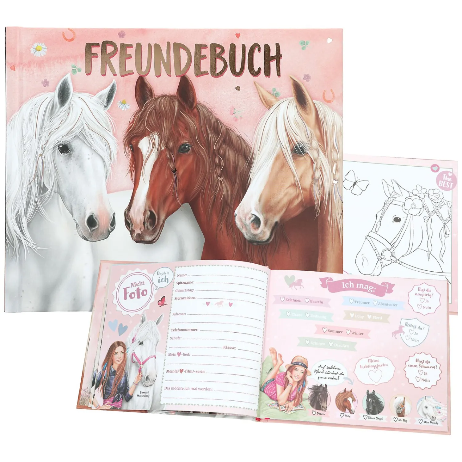 Loesdau Geschenke Für Reiter|Bücher & Multimedia<Miss Melody Freundebuch